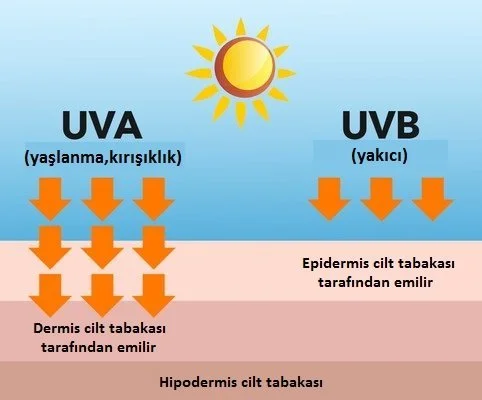 uv ışınları zararları
Ultraviyole nedir